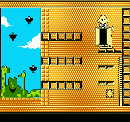 The New Zealand Story screenshot 5 for NES